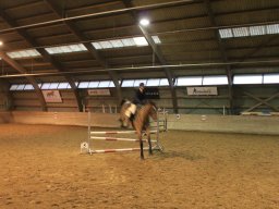 img_0619_web